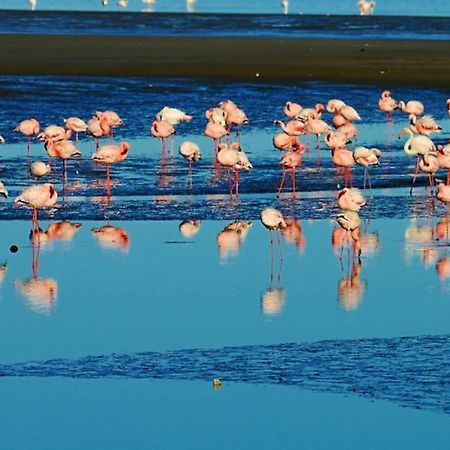 Apartament Arabia'S Loft II Nuevo Portil El Portil Zewnętrze zdjęcie